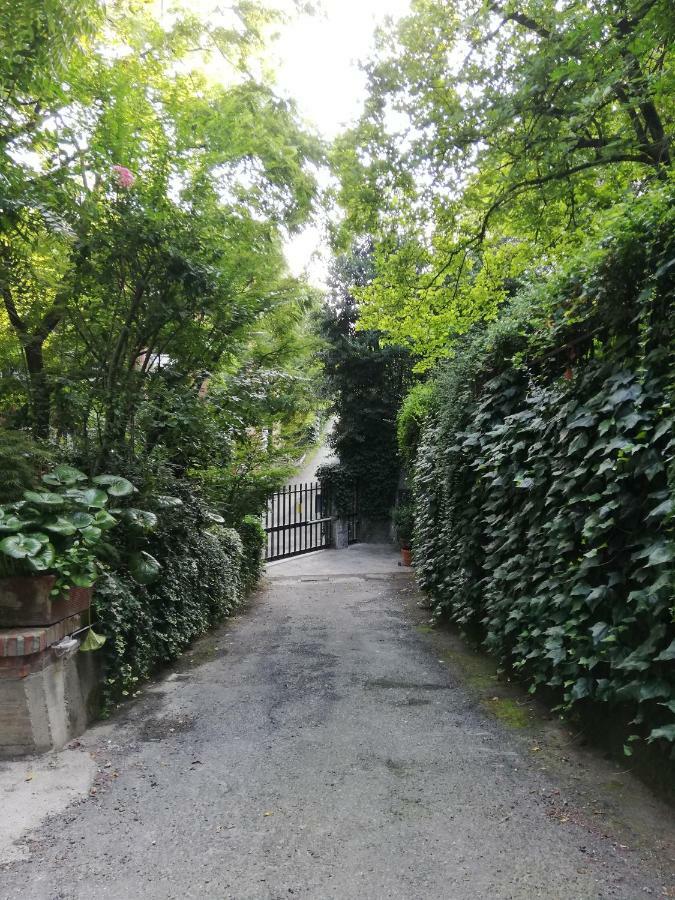 Nel Centro Di Un'oasi Verde