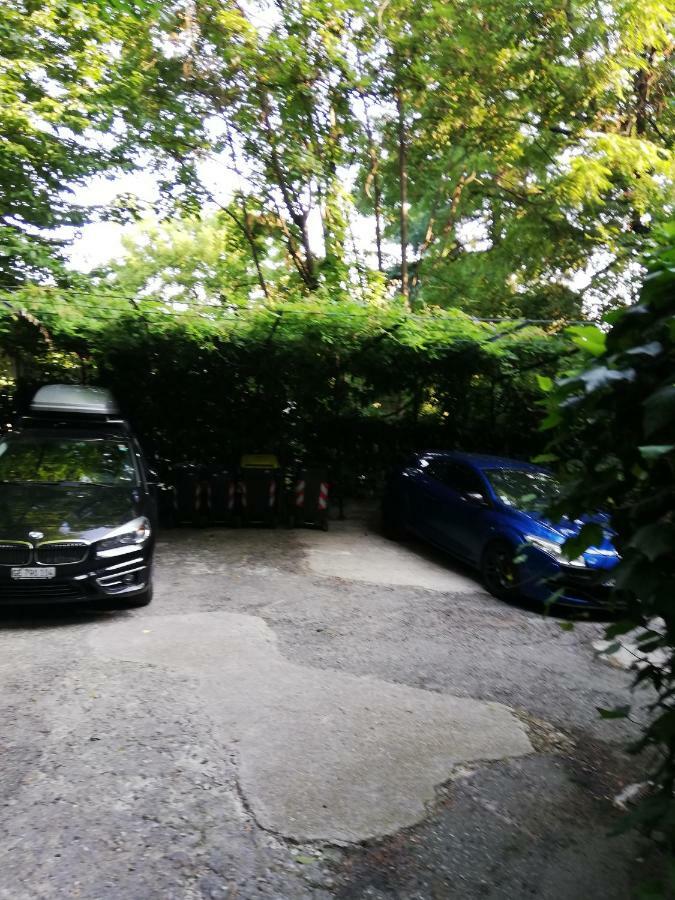 Nel Centro Di Un'oasi Verde